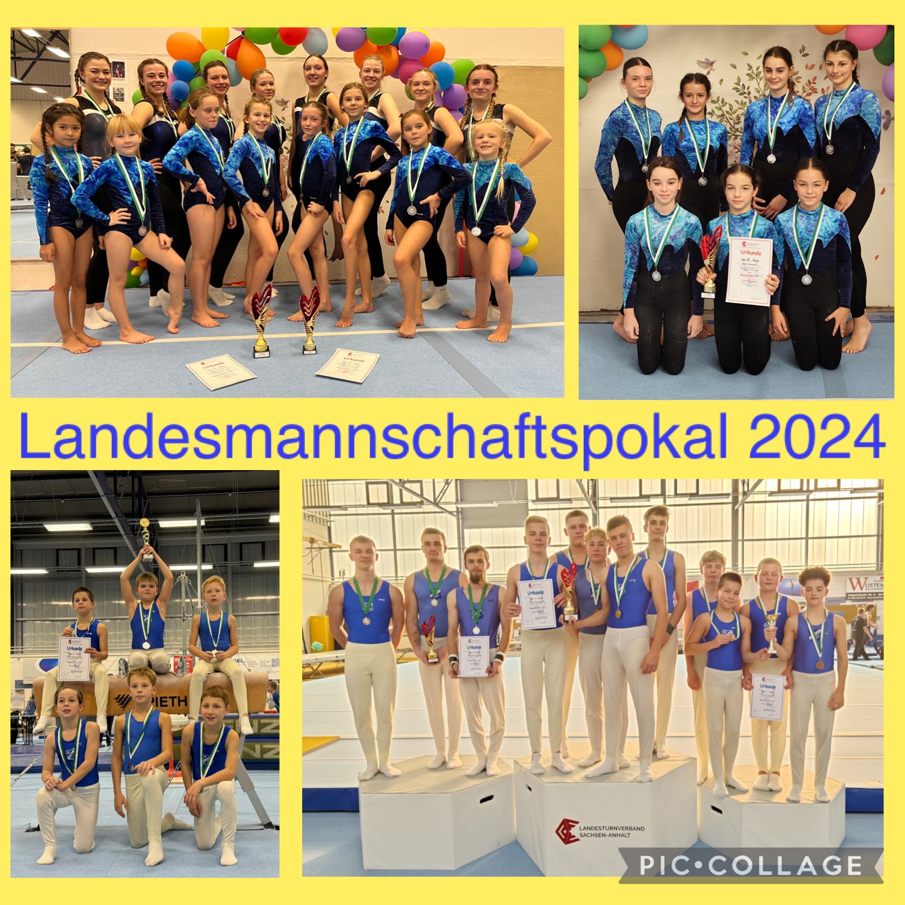 Landesmannschaftspokal Collage